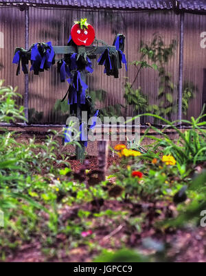 Krähe in Garten, bunte zu erschrecken Stockfoto