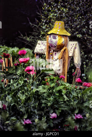 Krähe in Garten, bunte zu erschrecken Stockfoto