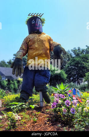 Krähe in Garten, bunte zu erschrecken Stockfoto