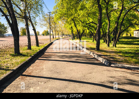 Magische Morgen mit der aufgehenden Sonne eine Spiel von Licht im Stadtpark Gasse zu schaffen. Monastyrskyj Insel, Dnepropetrovsk, Ukraine Stockfoto