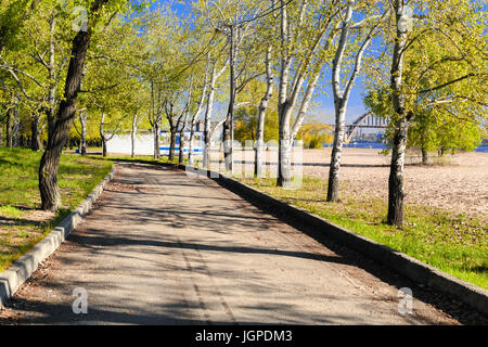 Magische Morgen mit der aufgehenden Sonne eine Spiel von Licht im Stadtpark Gasse zu schaffen. Monastyrskyj Insel, Dnepropetrovsk, Ukraine Stockfoto