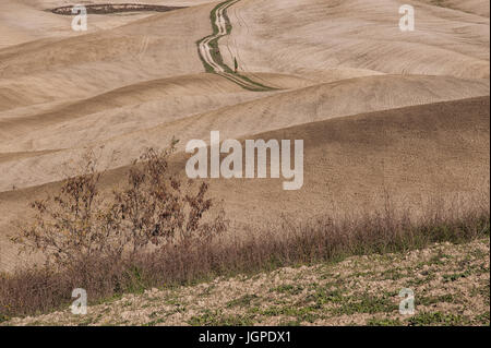 SAN QUIRICO D'ORCIA, Toskana/Italien - 31. OKTOBER 2016: schönen toskanischen Landschaft in der Nähe von San Quirico d'Orcia, mit sanften Hügeln und Zypressen. Stockfoto
