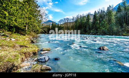 Das schnell fließende kristallklare ablaufen Wasser des Flusses Chilliwack im frühen Frühjahr in der Nähe der Stadt Chilliwack in British Columbia, Kanada Stockfoto