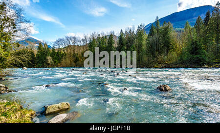 Das schnell fließende kristallklare ablaufen Wasser des Flusses Chilliwack im frühen Frühjahr in der Nähe der Stadt Chilliwack in British Columbia, Kanada Stockfoto