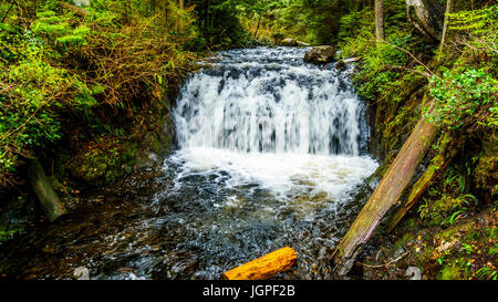 Upper Rolley Falls im gemäßigten Regenwald des Rolley Lake Provincial Park in der Nähe von Mission, der Stadt in British Columbia, Kanada Stockfoto