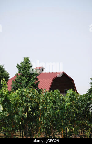 Weinberg und Tasting Room in Walla Walla Winzer - Walla Walla, WA. USA Stockfoto