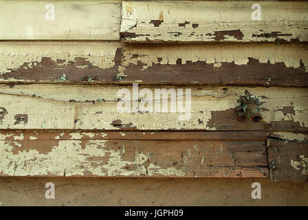 Peeling-Haus-Farbe auf Holzverkleidung Stockfoto