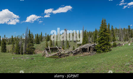 Gebrochene Log Stangen markieren die Überreste von einem Blockhaus in den Ausläufern der Rocky Mountains im Westen. Stockfoto