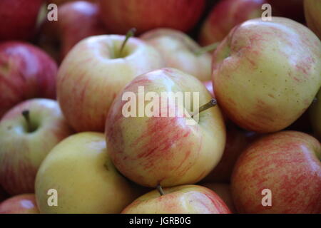 Äpfel auf dem Display am Markt Stockfoto