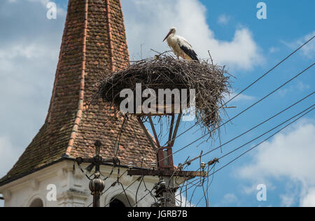 Storchennest in Sibiel Dorf Saliste Gemeinde, Region Transsilvanien in Rumänien. Holy Trinity Church auf Hintergrund Stockfoto