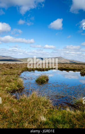 Whernside aus weißen Narbe, North Yorkshire Dales, England Stockfoto