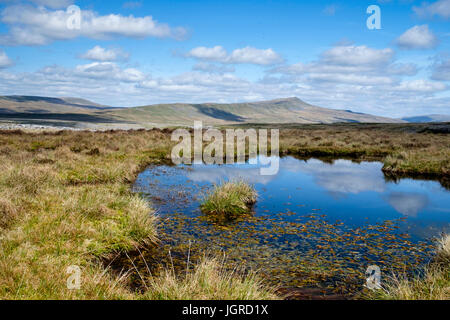 Whernside aus weißen Narbe, North Yorkshire Dales, England Stockfoto