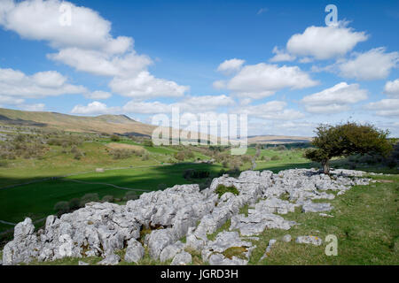 Whernside aus weißen Narbe, North Yorkshire Dales, England Stockfoto