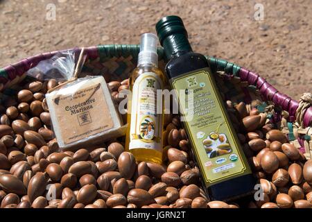 ARGAN ÖL, SÜD ESSAOUIRA MOGADOR, MAROKKO, NORDAFRIKA Stockfoto