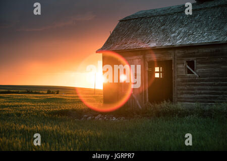 Eine alte Scheune steht alleine mitten in der Prärie von Alberta aus einer Zeit lange vorbei, gewaschenen in eine brillante Decke Farbe Sommer Sonnenuntergang. Stockfoto