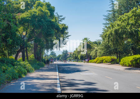 Eingang zum Campus der Stanford Universität vom Hof. Stanford University gehört zu den weltweit führenden Lehr- und Stockfoto