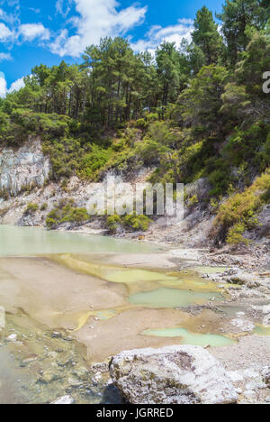 Waiotapu Thermal Wonderland, Rotorua, Neuseeland Stockfoto