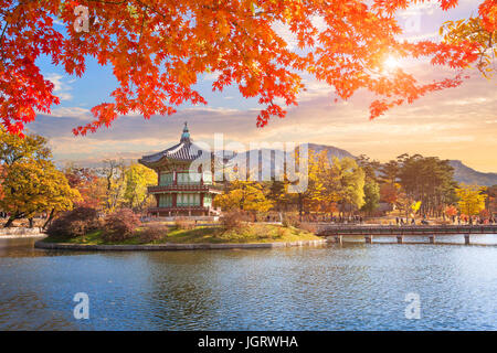 Ahorn-Blätter mit Pavillon altes traditionelles im Gyeongbokgung Palace, Seoul, Süd Korea. Stockfoto