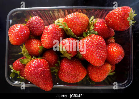 Kunststoff Karton gefüllt mit Reife rote Erdbeeren Stockfoto