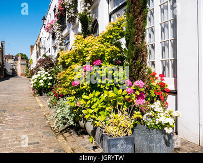 Hyde Park Garten Mews, Bayswater, London, England Stockfoto