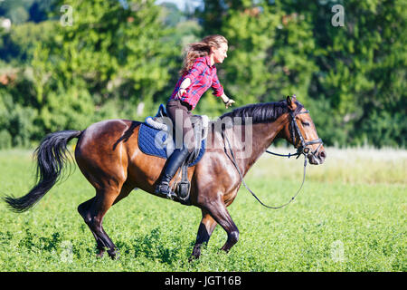 Junge Reiter Frau auf galoppierenden Pferd ohne Zügel halten. Gratis Reiten Pferdesport Hintergrund Stockfoto