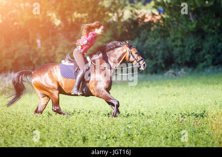 Junge Reiter Frau auf galoppierenden Pferd ohne Zügel halten. Gratis Reiten Pferdesport Hintergrund Stockfoto