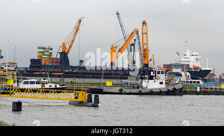 Eine große Massengutfrachter mit Kranen Schiff geladen. Schiff im Frachthafen terminal. Containerschiff im Hafen von Rotterdam entladen wird. Stockfoto