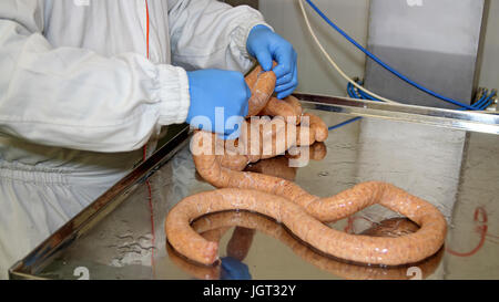 Arbeiter Rohwürste in Fleisch verarbeitenden Industrie. Industrielle Herstellung von Wurstwaren. Stockfoto