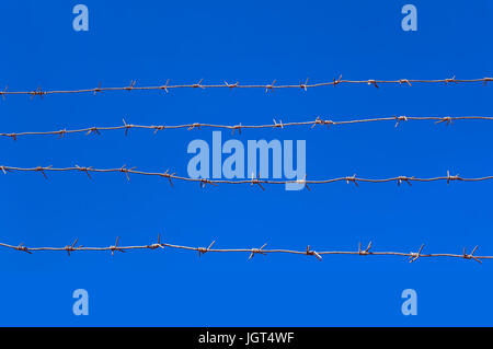 Stacheldraht auf dem Hintergrund des blauen Himmels Stockfoto