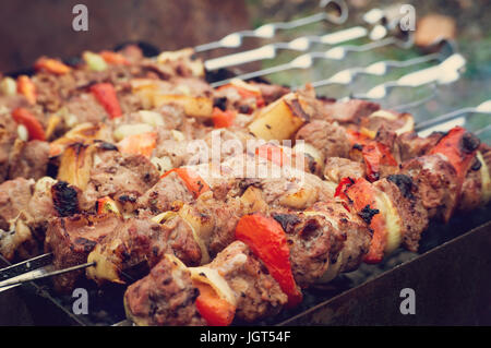 Schweinefleisch Grillen auf einem Holzkohlegrill in ein Picknick selektiven Fokus Stockfoto