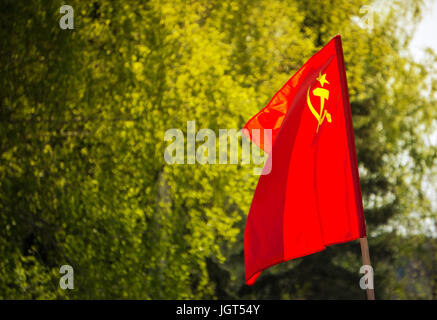 Flagge der Union der Sozialistischen Sowjetrepubliken UdSSR HD. Die Fahne mit Hammer und Sichel auf einem Hintergrund von grünen Bäumen. Mai-Demonstration. Parade in Stockfoto