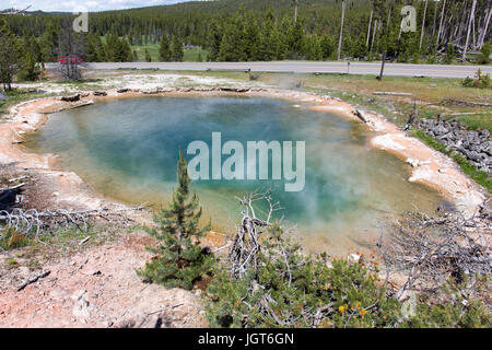 Leder-Pool mit der Straße in der Nähe von Fountain Paintpot Trail in den unteren Geysir-Becken im Yellowstone National Park aus gesehen Stockfoto