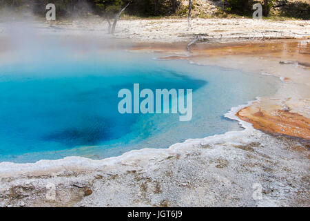 Detail der Silex-Frühling in der Lower Geyser Basin aus Fountain Paintpot Trail, Yellowstone-Nationalpark Stockfoto