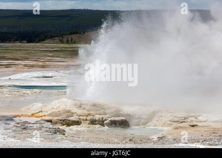 Krampf Geysir von Fountain Paintpot Trail in den unteren Geysir-Becken im Yellowstone National Park aus gesehen Stockfoto