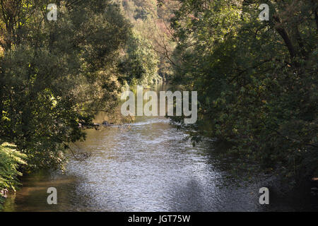 Schöne Aussicht auf den ruhigen Fluss Wupper, Deutschland, NRW. Stockfoto