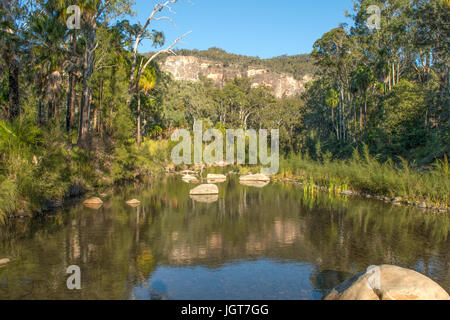 1. Kreuzung, Carnarvon Gorge, Queensland, Australien Stockfoto