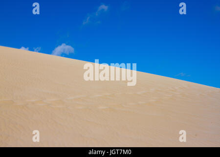 Geteilte Fotografie auf zwei Teil von Sand und Himmel. Länder und Panorama-Hintergrund. Nachhaltigen Ökosystems. Gelbe Dünen bei Sonnenuntergang Stockfoto