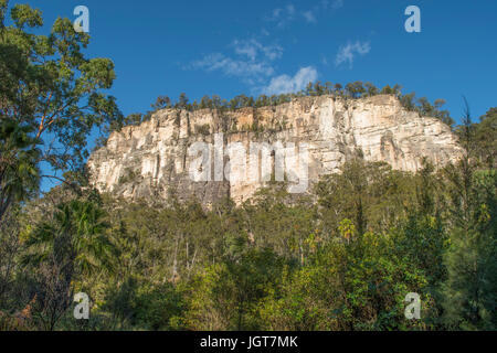 Felswand, Carnarvon Gorge, Queensland, Australien Stockfoto