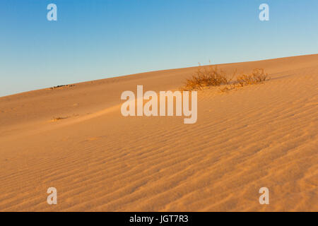 Geteilte Fotografie auf zwei Teil von Sand und Himmel. Länder und Panorama-Hintergrund. Nachhaltigen Ökosystems. Gelbe Dünen bei Sonnenuntergang Stockfoto