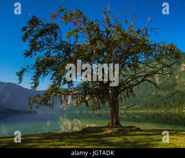 Bohinj See in Vollmondnacht. Stockfoto