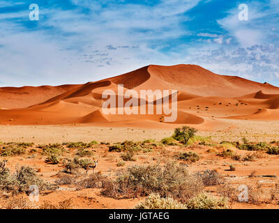 Wüste Namib mit Sanddünen und zwei gazelle Stockfoto