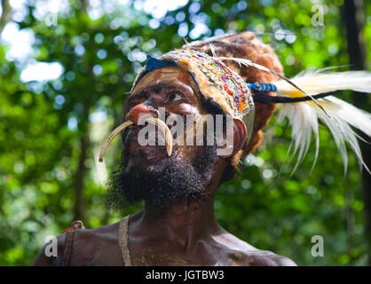 Neuguinea, Indonesien - 13 Januar: Porträt einer Stammes-Häuptling Yaffi in Kriegsbemalung. Stockfoto