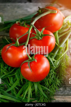 Reife rote Tomaten auf einem Ast liegend auf dem hölzernen Hintergrund mit dem Grün der Estragon, Fenchel und Salat im rustikalen Stil, das helle Sonnenlicht in Stockfoto