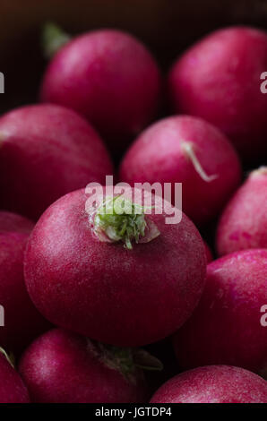 Nahaufnahme (Makro) rote Radieschen, gestapelt in einer Schüssel mit grünen Stiel sichtbar. Dunkle Beleuchtung. Stockfoto
