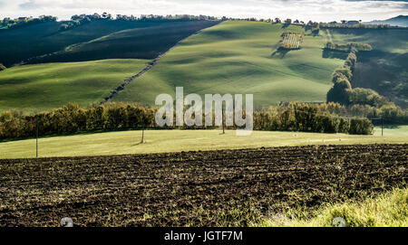 Schatten auf den sanften Hügeln zwischen Emilia-Romagna und Marche, Italien. Stockfoto