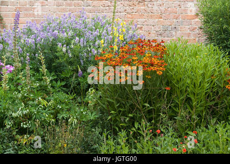 Klassische krautige Grenze Blumen im Garten Stockfoto