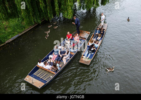 Menschen Stechkahn fahren auf dem Fluss Cam, Cambridge, Cambridgeshire, England, Vereinigtes Königreich Stockfoto