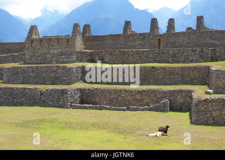 Machu Picchu - Valle Sagrado de Los Incas - Region de Cusco - Perú ATENÇÃO: NÃO PODEMOS REPRESENTAR ESSA IMAGEM FORA DA AMERICA LATINA Stockfoto