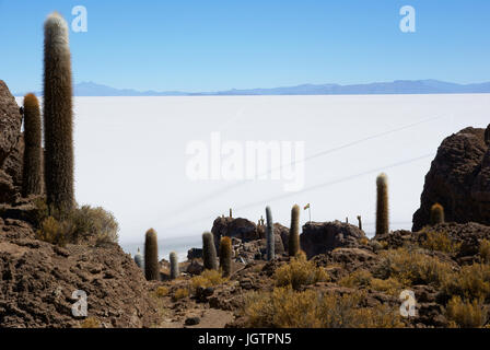 Salar von Uyuni, Wüste Lipez, Abteilung von Potosi, Sud Lipez Provinz, La Paz, Bolívia Stockfoto