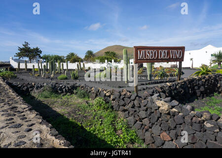 Bodega El Grifo mit angeschlossenen Weinmuseum, Weingut in La Geria, Lanzarote, Kanarische Inseln, Spanien, Europa Stockfoto